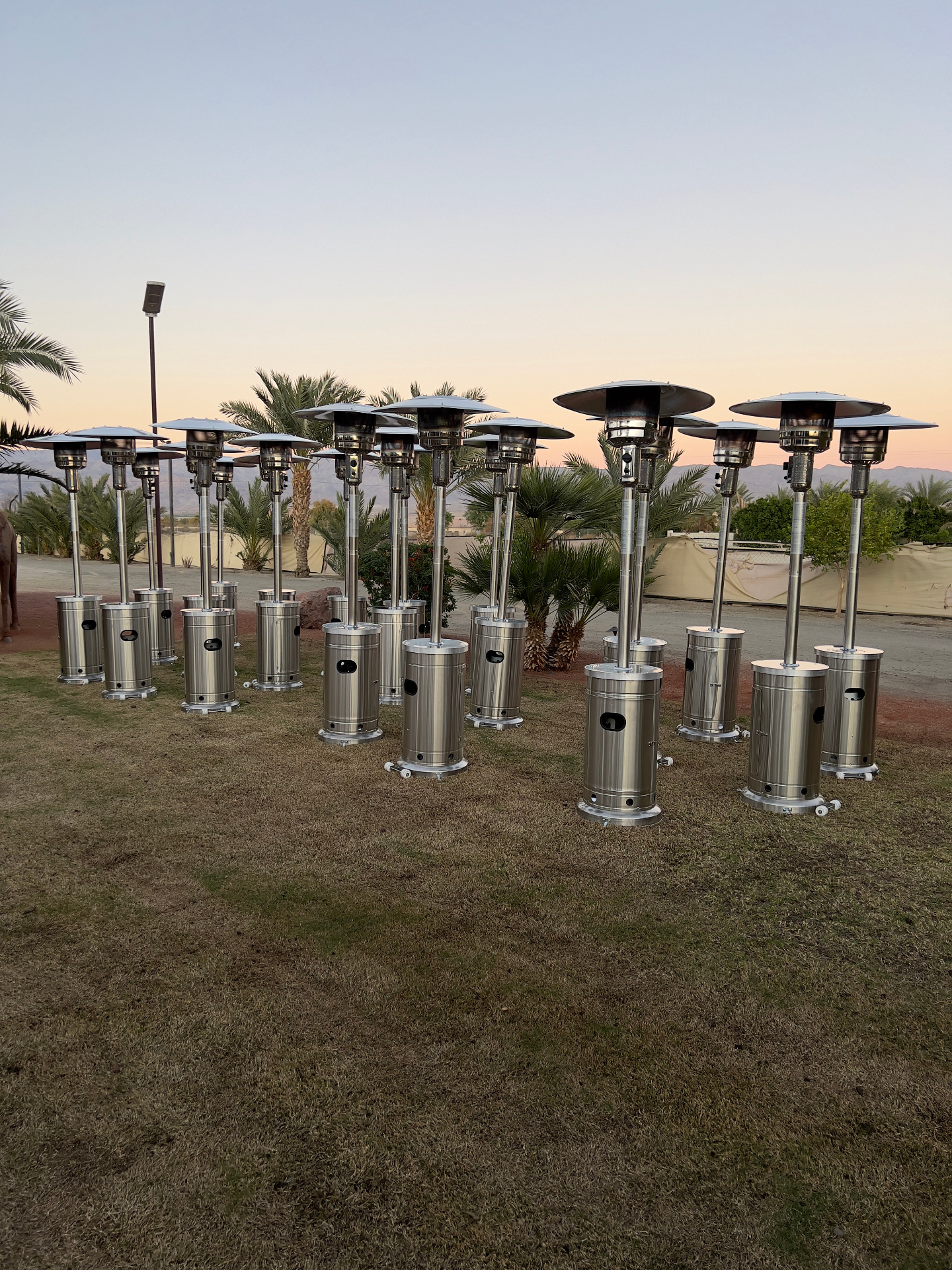 Elegant outdoor event with heaters and Christmas tree backdrop